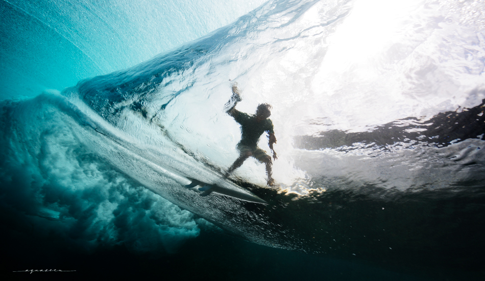 Behind the Seen. Photo:<a href=\"https://aquaseen.com/\">Matt Shepherd</a>