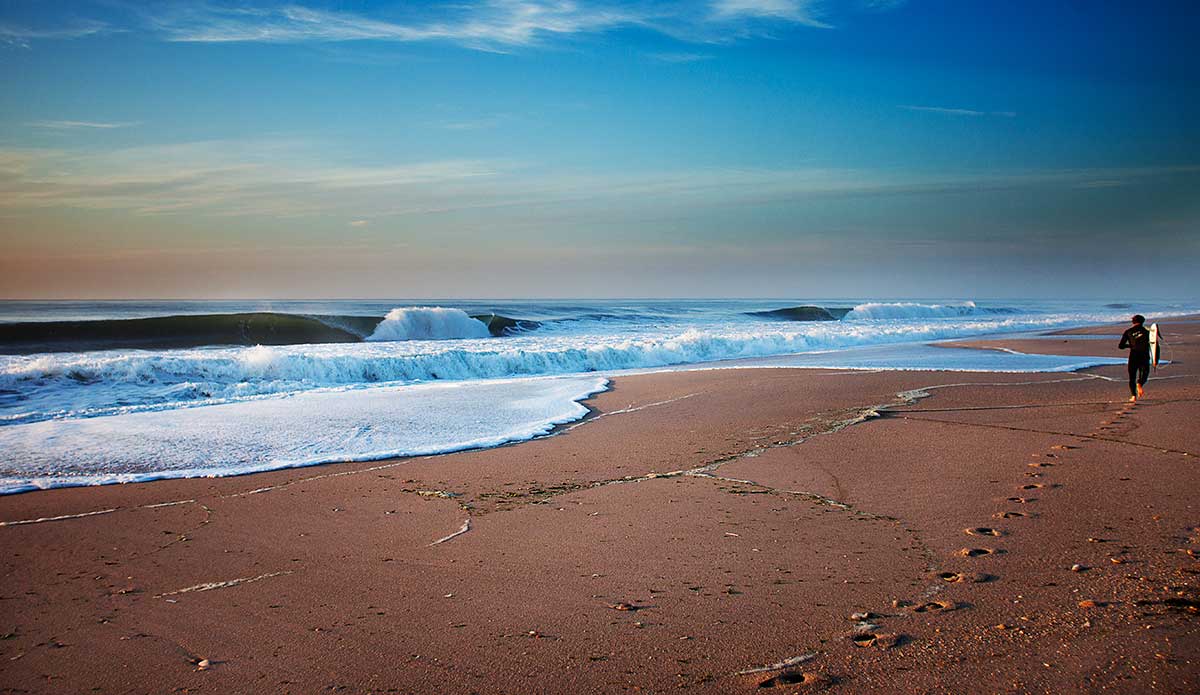 Early May in New Jersey. Photo: <a href=\"https://www.briannevins.com/\" target=_blank>Brian Nevins</a>