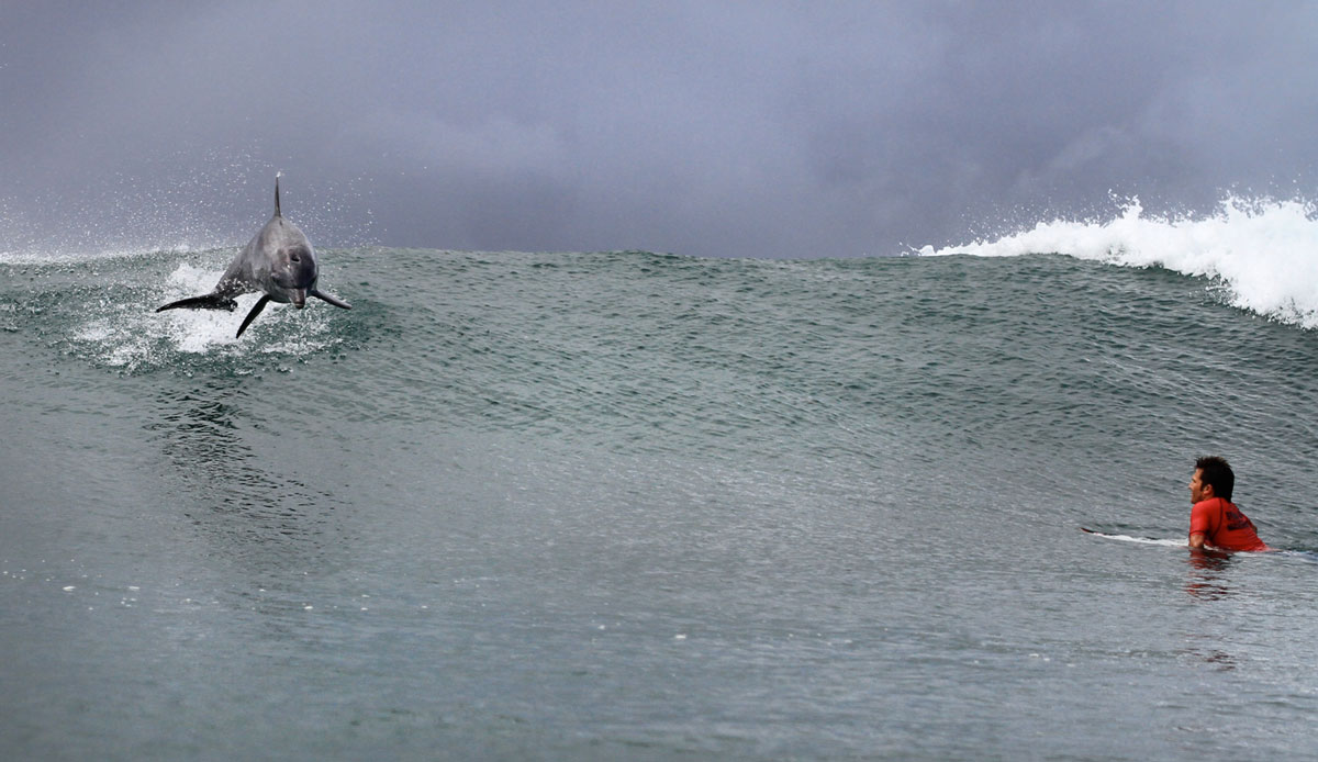This image was my first award-winning image. I captured it around six years ago. This image gave me the confidence to tackle my professional photography career. Photo: <a href=\"https://craigparryphotography.com/\">Craig Parry</a>