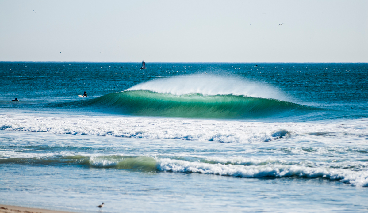 Playful fun. Photo: <a href=\"https://www.rickyjlesser.com/\"> Ricky Lesser</a>