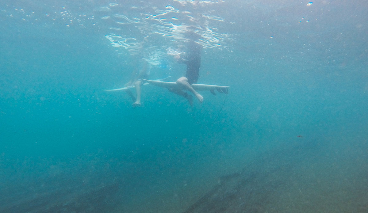 Photo: <a href=\"https://instagram.com/yotphotography\"> António Carreira</a>