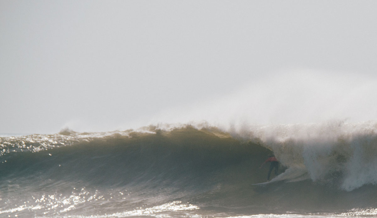 Photo: <a href=\"https://instagram.com/yotphotography\"> António Carreira</a>