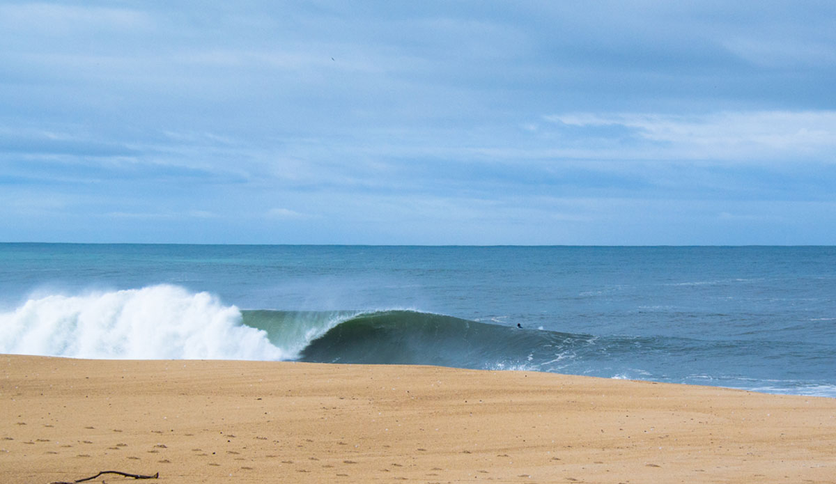 Photo: <a href=\"https://instagram.com/yotphotography\"> António Carreira</a>