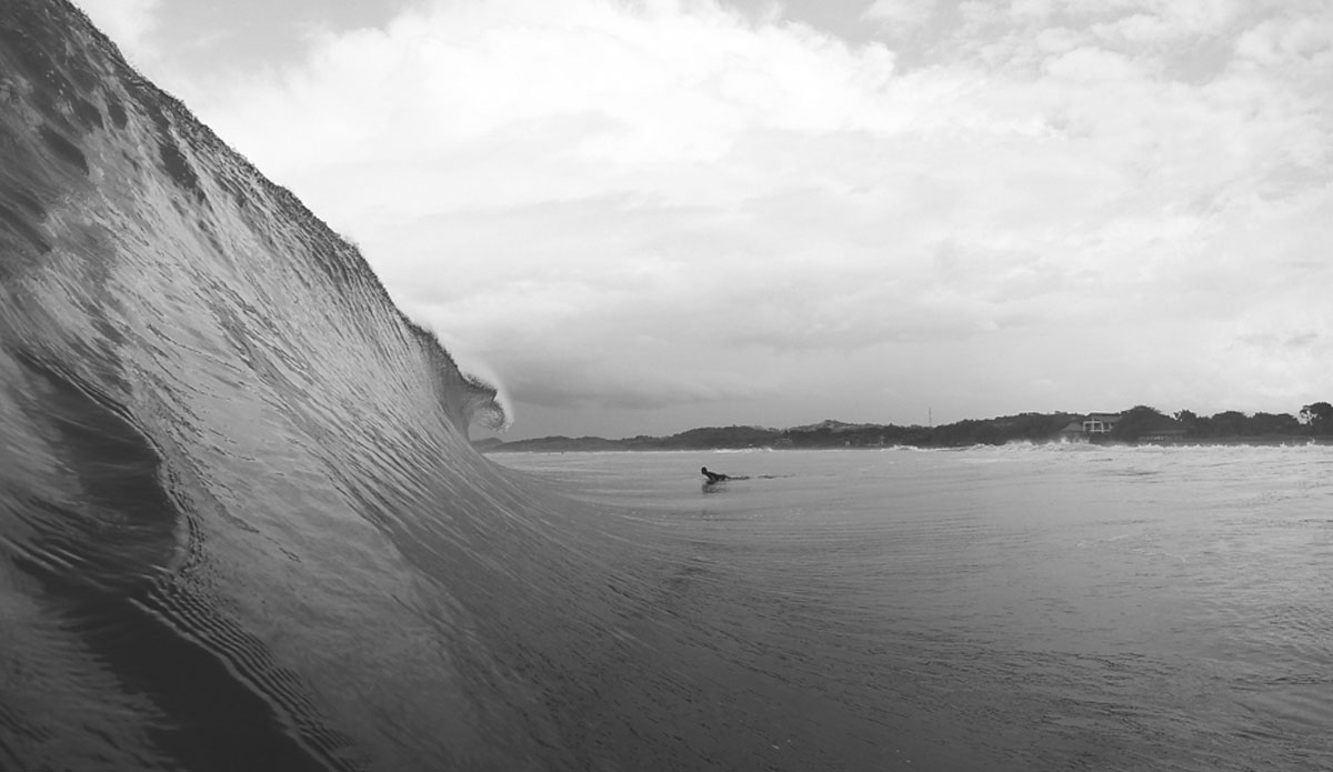 Photo: <a href=\"https://instagram.com/yotphotography\"> António Carreira</a>