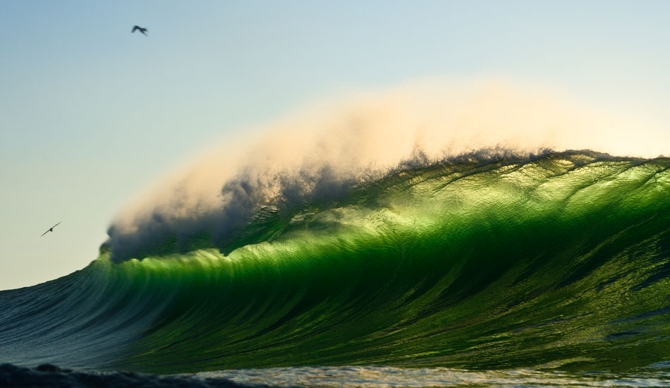 Birds eye. Photo: <a href=\"https://www.bensowryphoto.com\"> Ben Sowry</a>