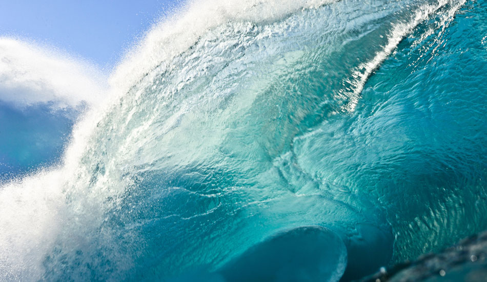 As thick as it is wide. Photo: <a href=\"https://www.bensowryphoto.com\"> Ben Sowry</a>