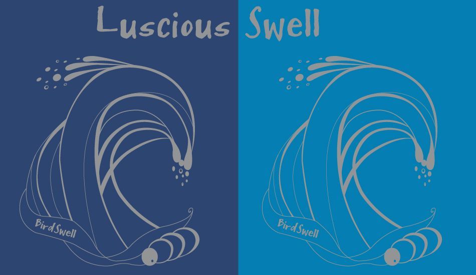Luscious Swell, Image: <a href= https://www.birdswell.com/ target=_blankBirdswell>BirdSwell</a>