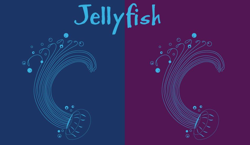 Jellyfish, Image: <a href= https://www.birdswell.com/ target=_blankBirdswell>BirdSwell</a>