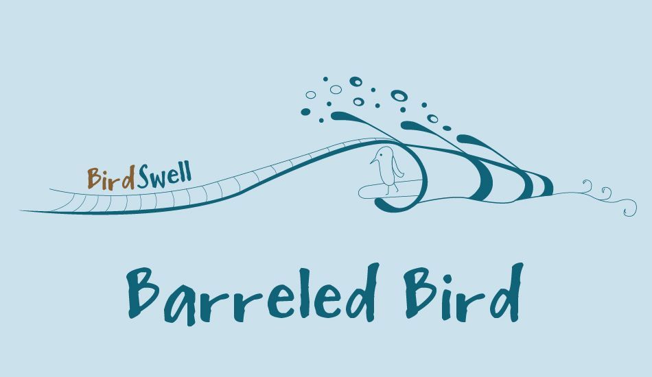 Barreled Bird, Image: <a href= https://www.birdswell.com/ target=_blankBirdswell>BirdSwell</a>
