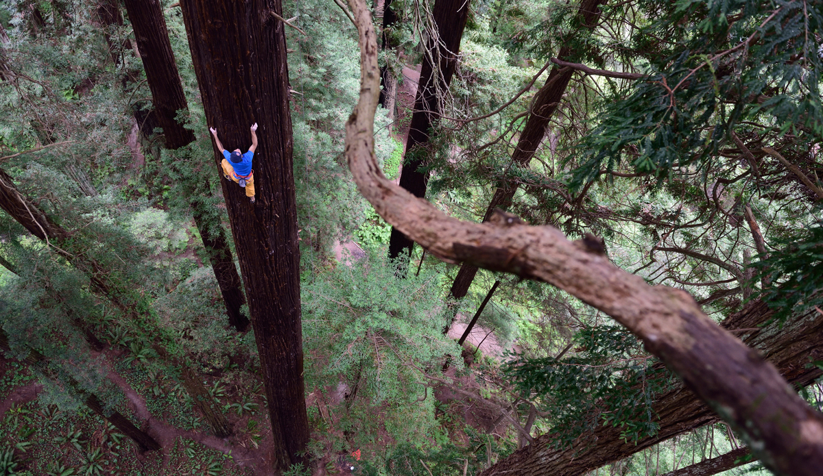 Photo: <a href=\"https://www.redbull.com/us/en/adventure/stories/1331729256032/chris-sharma-giant-ascent\">Red Bull</a>