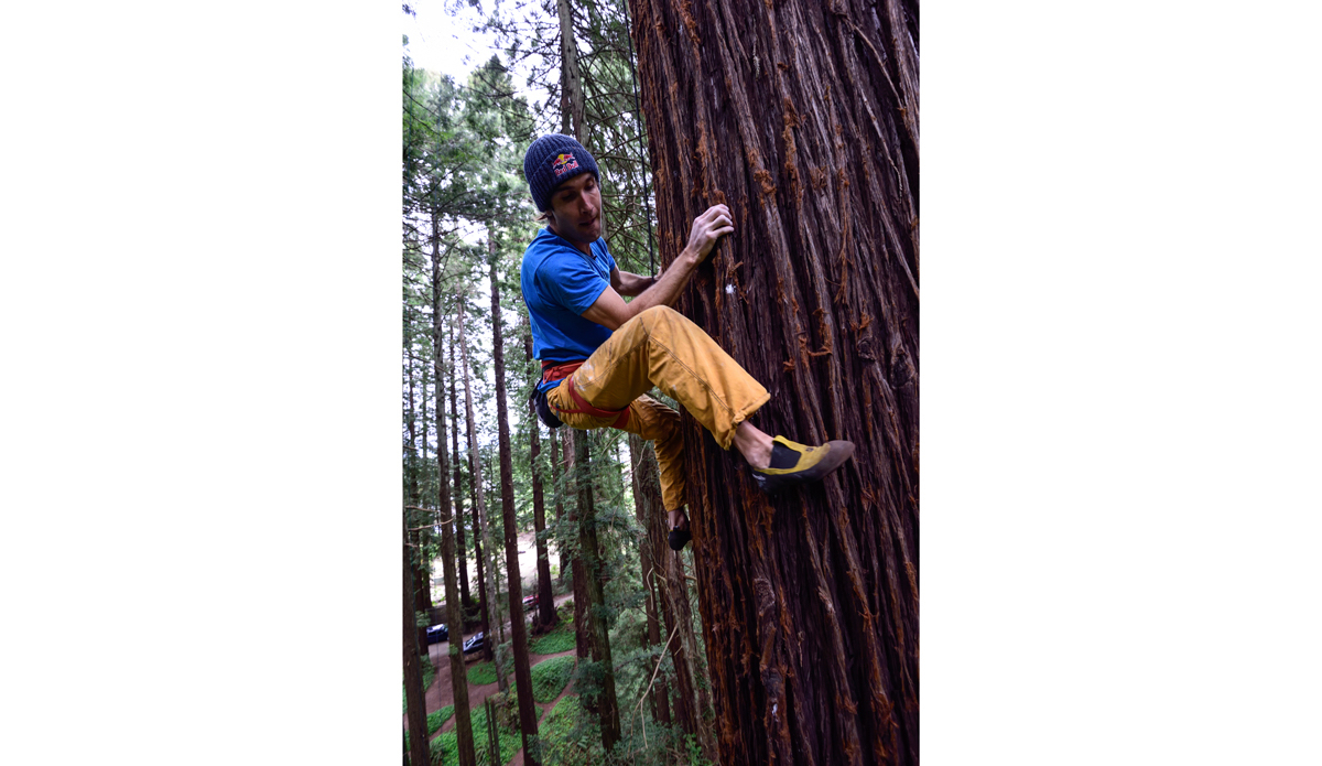 Photo: <a href=\"https://www.redbull.com/us/en/adventure/stories/1331729256032/chris-sharma-giant-ascent\">Red Bull</a>