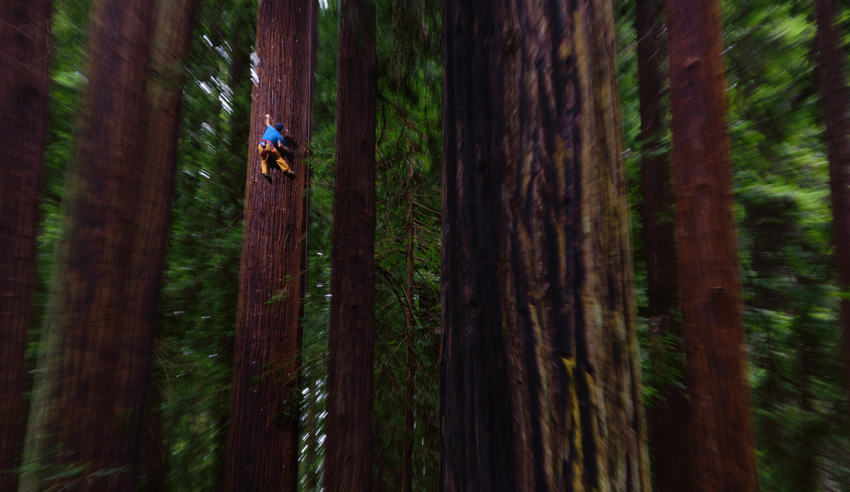 Photo: <a href=\"https://www.redbull.com/us/en/adventure/stories/1331729256032/chris-sharma-giant-ascent\">Red Bull</a>
