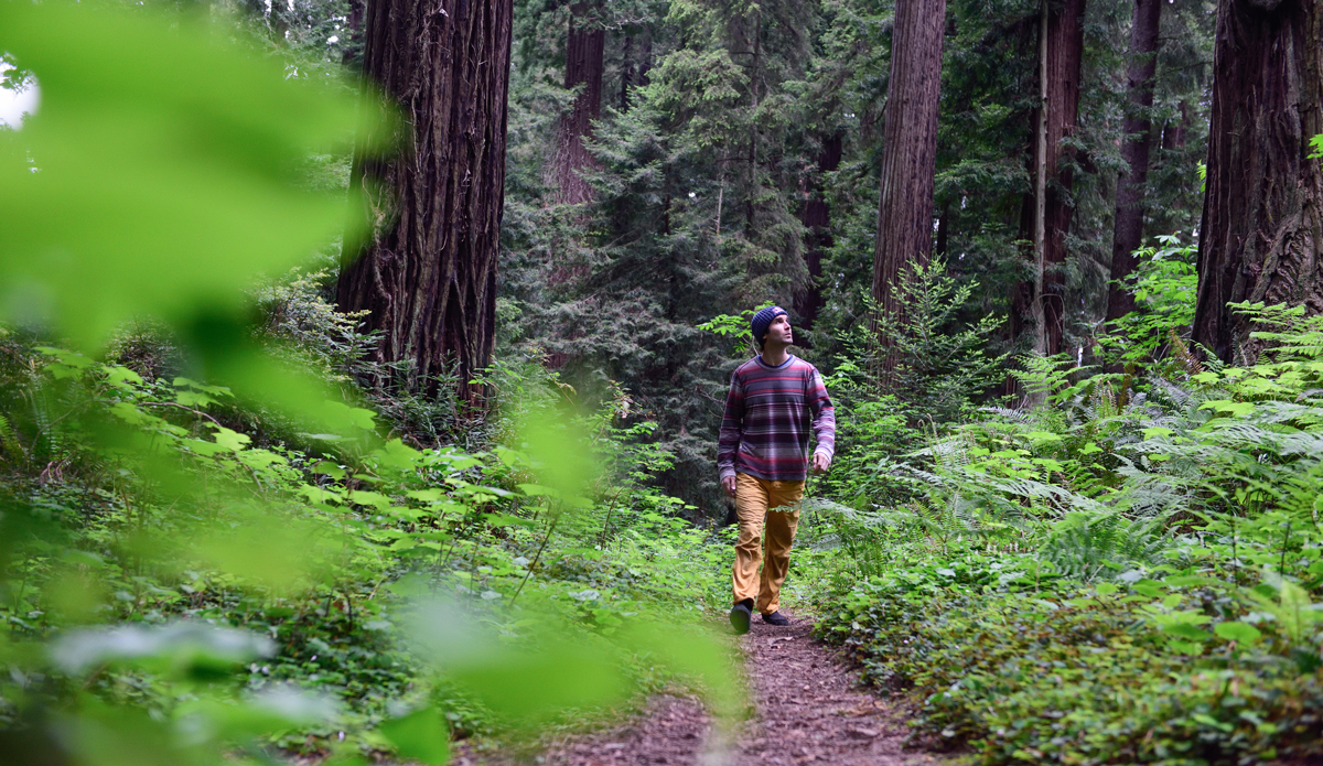 Photo: <a href=\"https://www.redbull.com/us/en/adventure/stories/1331729256032/chris-sharma-giant-ascent\">Red Bull</a>