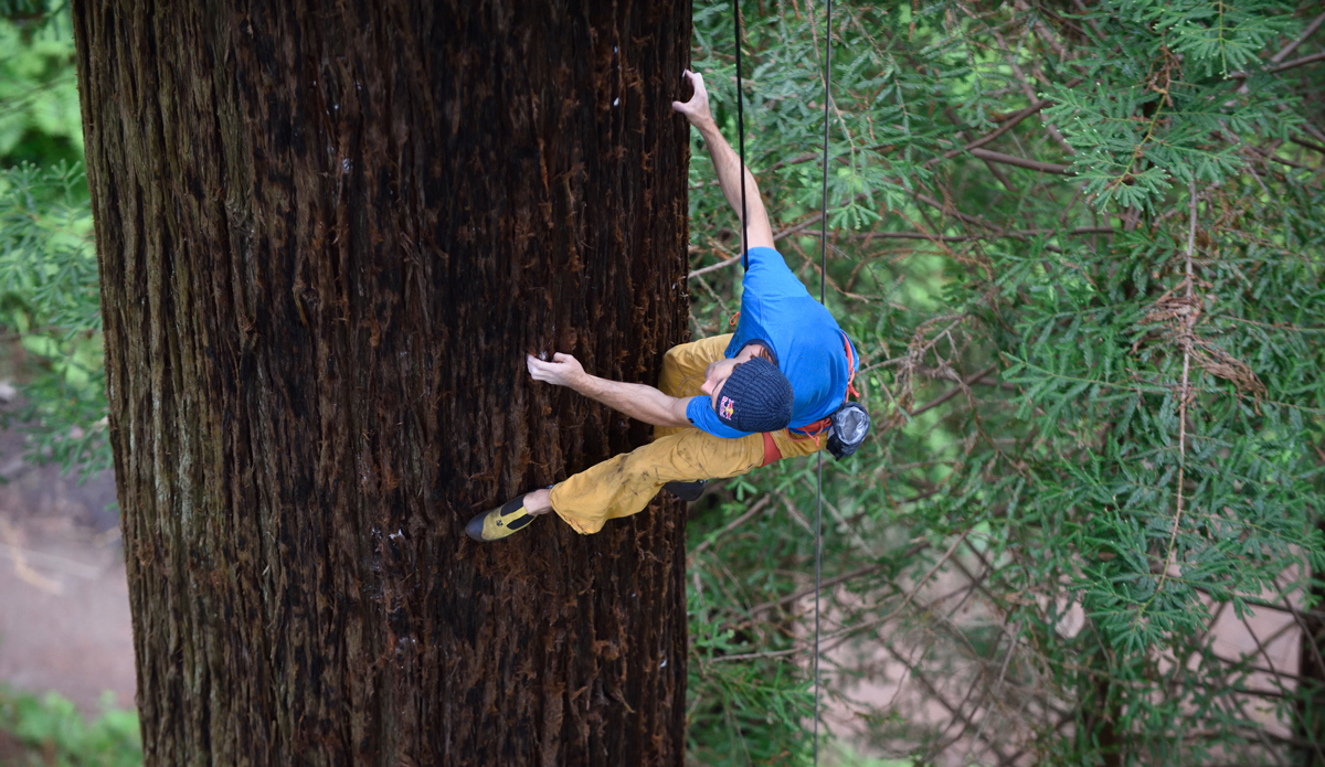 Photo: <a href=\"https://www.redbull.com/us/en/adventure/stories/1331729256032/chris-sharma-giant-ascent\">Red Bull</a>