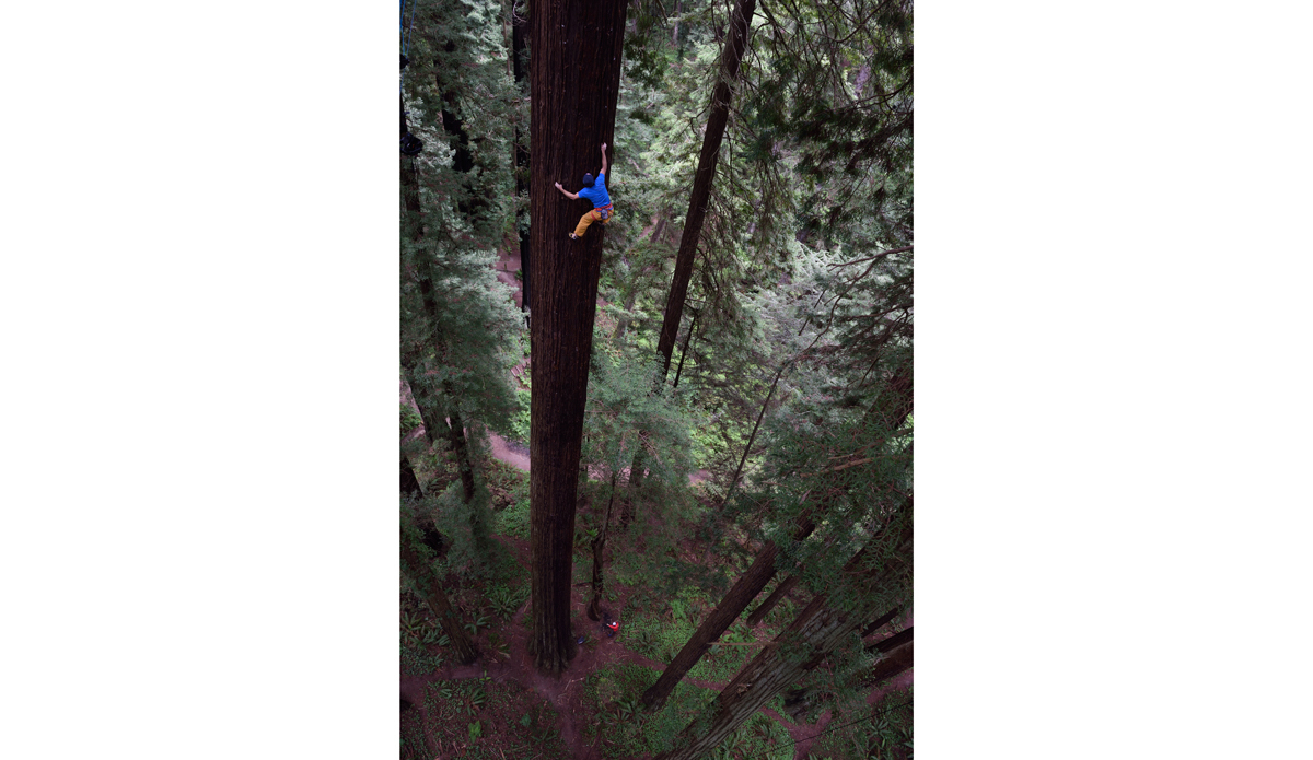 Photo: <a href=\"https://www.redbull.com/us/en/adventure/stories/1331729256032/chris-sharma-giant-ascent\">Red Bull</a>