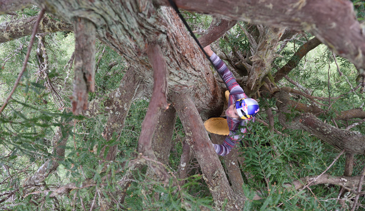 Photo: <a href=\"https://www.redbull.com/us/en/adventure/stories/1331729256032/chris-sharma-giant-ascent\">Red Bull</a>