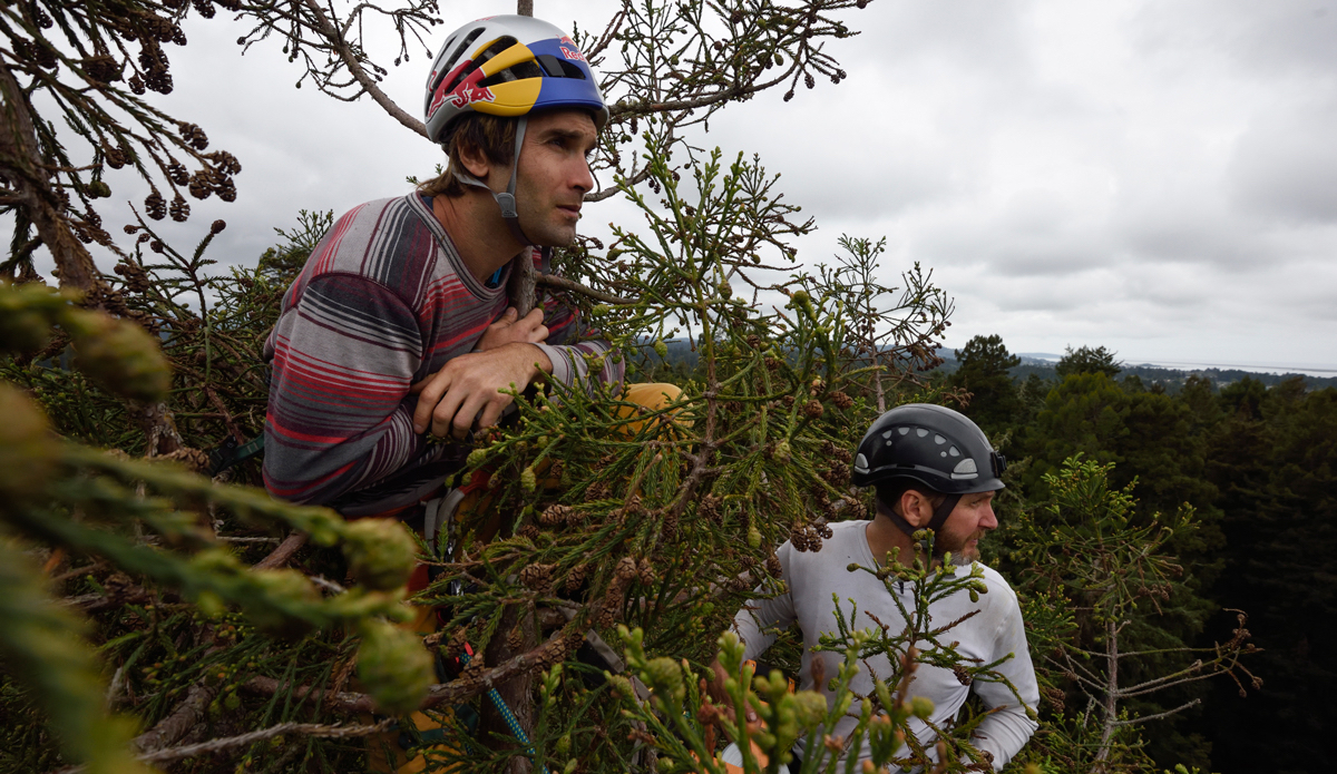 Photo: <a href=\"https://www.redbull.com/us/en/adventure/stories/1331729256032/chris-sharma-giant-ascent\">Red Bull</a>