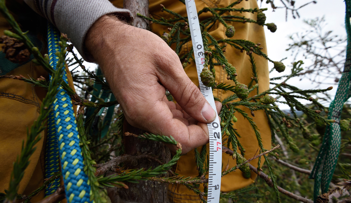 Photo: <a href=\"https://www.redbull.com/us/en/adventure/stories/1331729256032/chris-sharma-giant-ascent\">Red Bull</a>