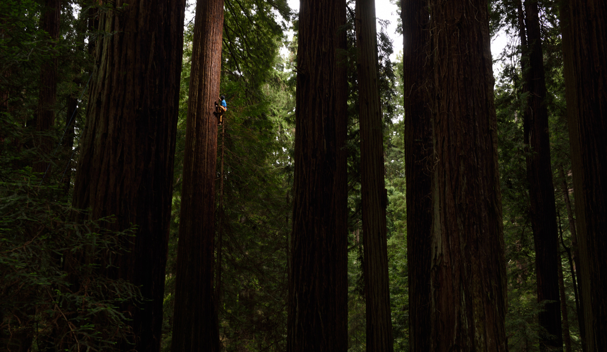 Photo: <a href=\"https://www.redbull.com/us/en/adventure/stories/1331729256032/chris-sharma-giant-ascent\">Red Bull</a>
