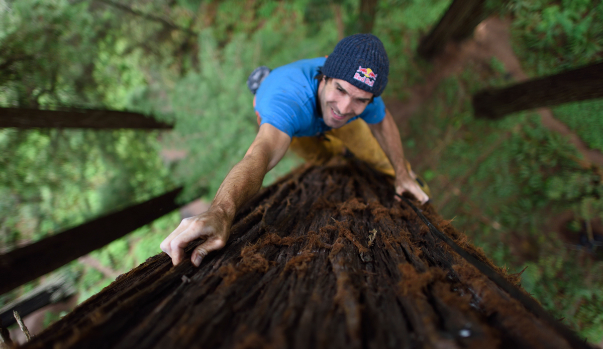 Photo: <a href=\"https://www.redbull.com/us/en/adventure/stories/1331729256032/chris-sharma-giant-ascent\">Red Bull</a>