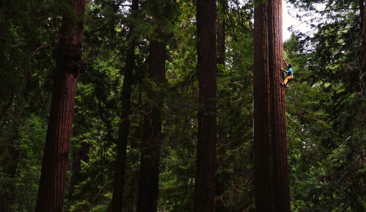 Photo: <a href=\"https://www.redbull.com/us/en/adventure/stories/1331729256032/chris-sharma-giant-ascent\">Red Bull</a>