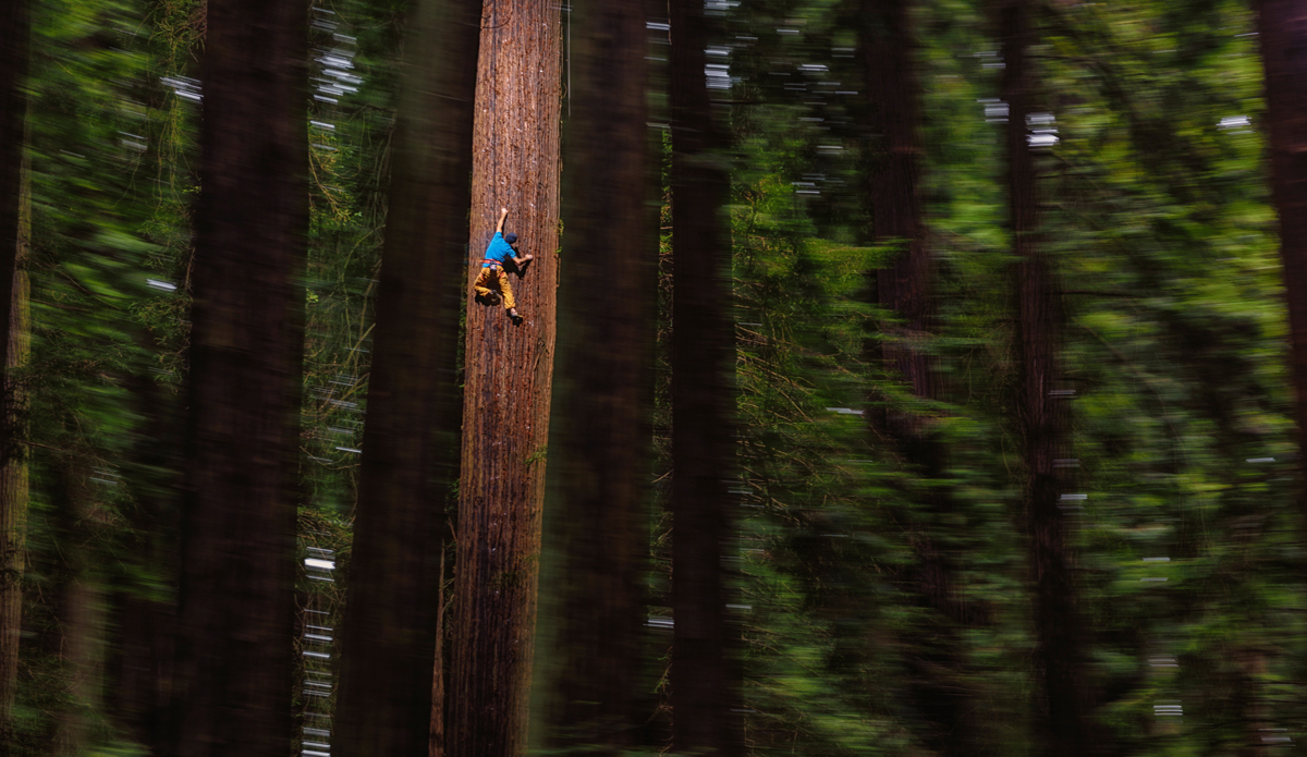 Photo: <a href=\"https://www.redbull.com/us/en/adventure/stories/1331729256032/chris-sharma-giant-ascent\">Red Bull</a>