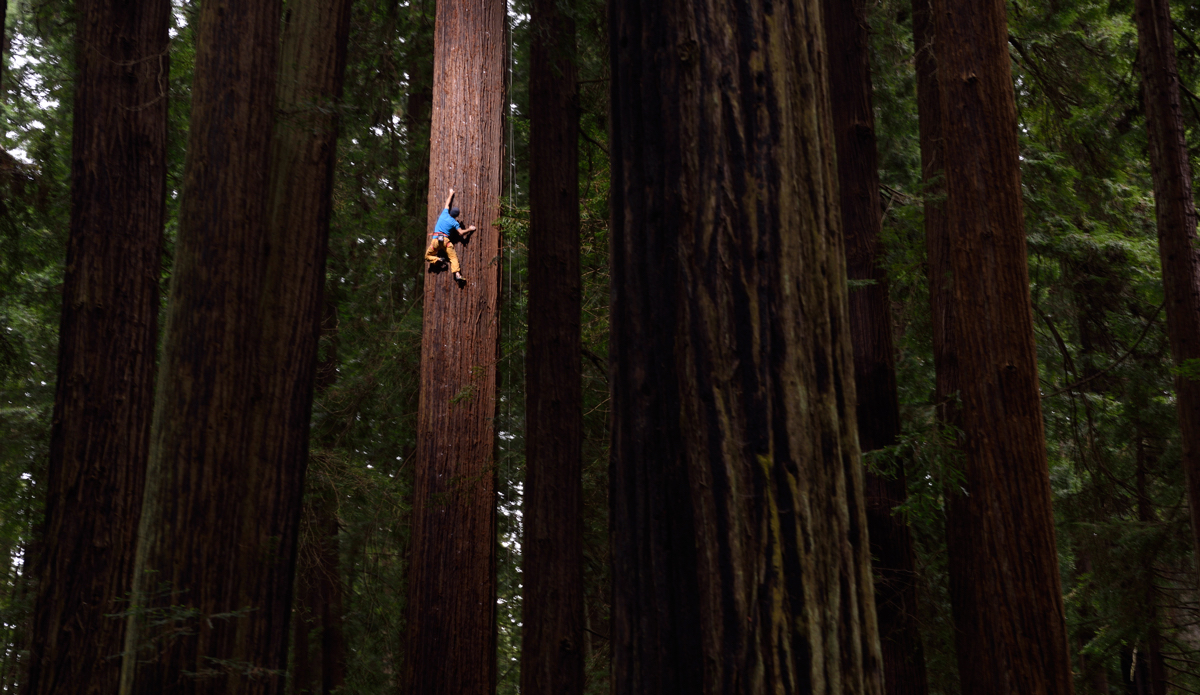 Photo: <a href=\"https://www.redbull.com/us/en/adventure/stories/1331729256032/chris-sharma-giant-ascent\">Red Bull</a>