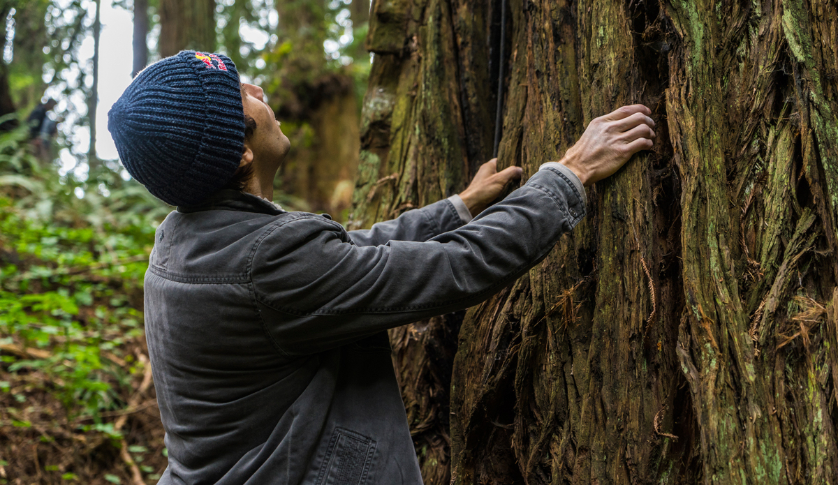 Photo: <a href=\"https://www.redbull.com/us/en/adventure/stories/1331729256032/chris-sharma-giant-ascent\">Red Bull</a>