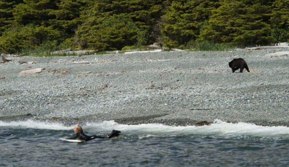 Local friendlies checking the scene. Photo: <a href=\"https://adamdewolfe.com\">Adam Dewolfe</a>