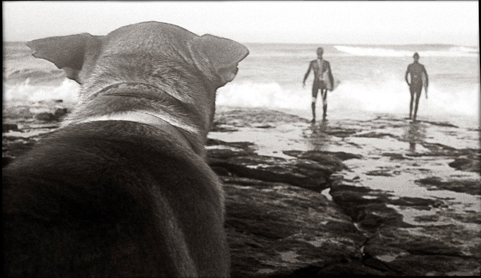 An early shot of a stand up and a lid rider jumping off the back of a rock shelf that gets pretty insane on its day. I\'ve since come to know the dog well and have spent plenty of time hanging with Jembo and his owner. Photo: <a href=\"https://www.submerge.com.au\" target=_blank>Dean Dampney</a>.