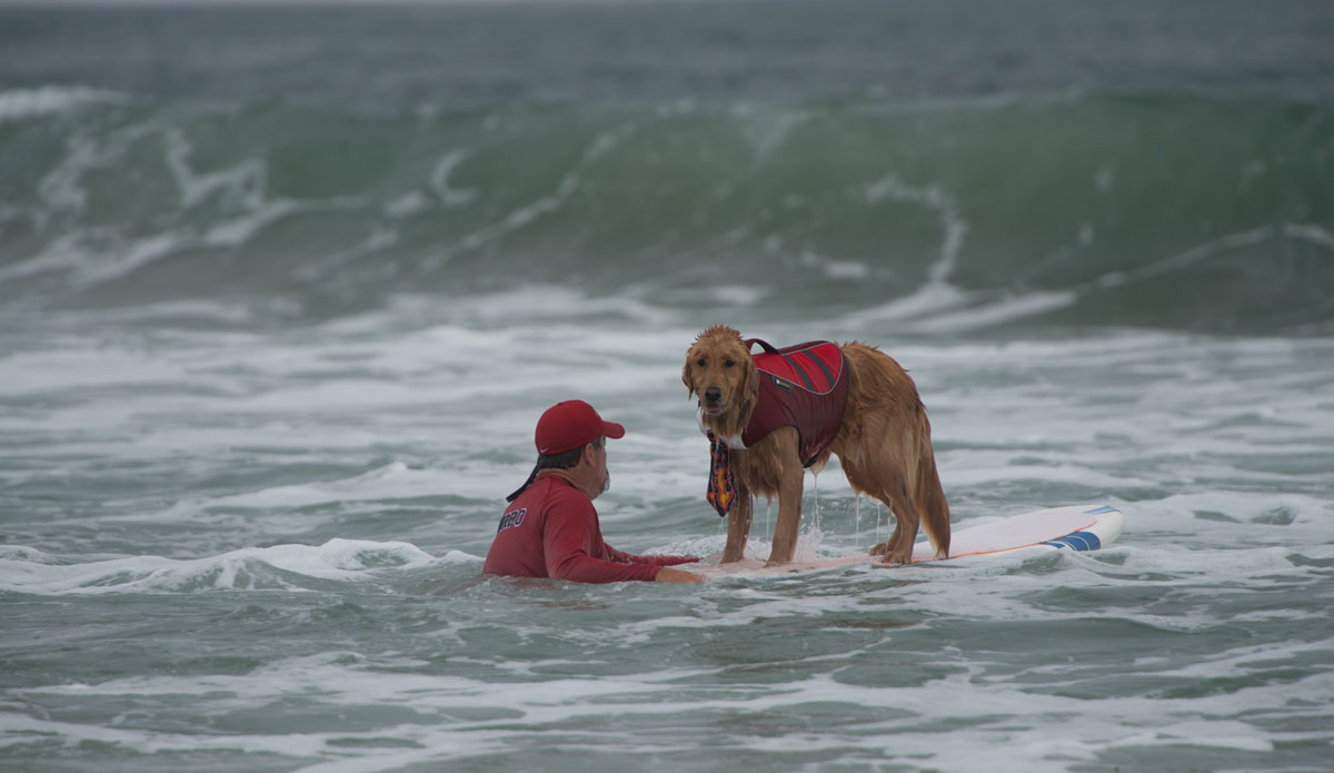 Everyone\'s got to wait for the sets.