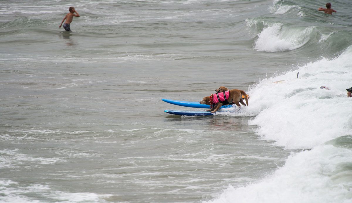 This was just after a huge barrel. Really, it was. 