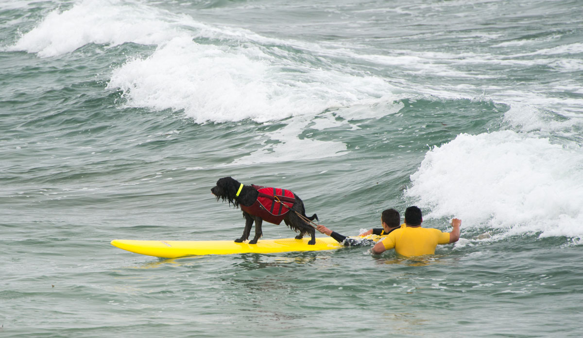 You can tell this guy\'s ready to surf. 