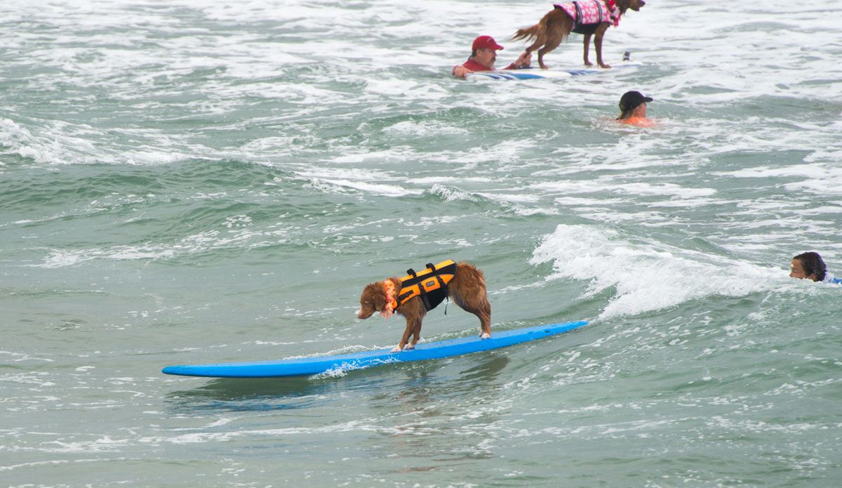 Just about to begin the cross step. 