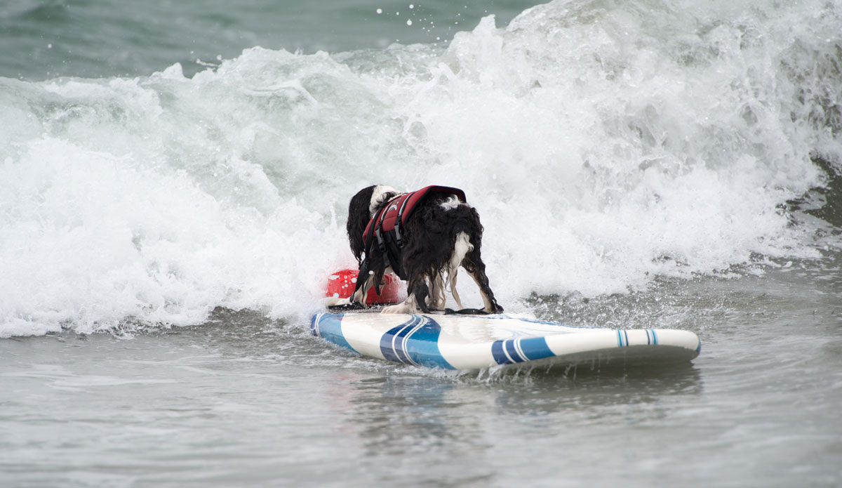 All soul. Either soul or confusion. 