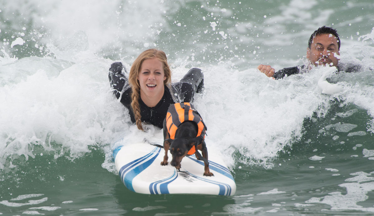 One of these looks like they\'re having more fun than the other. 