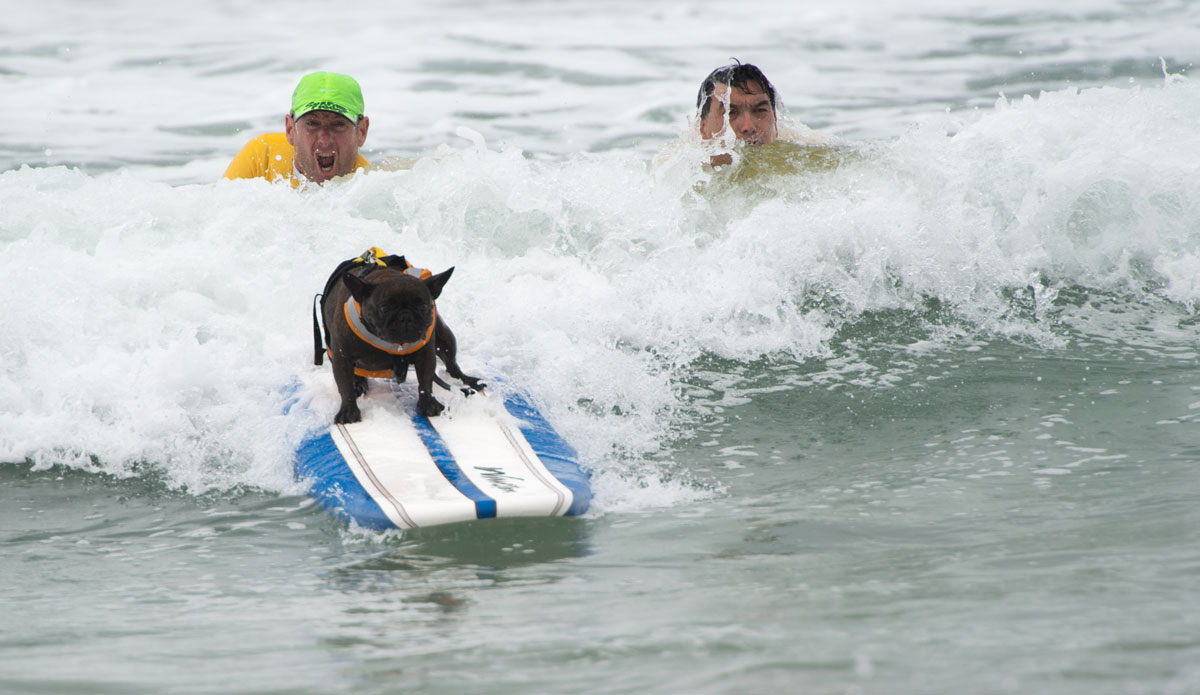 There is a lot of excitement here. 