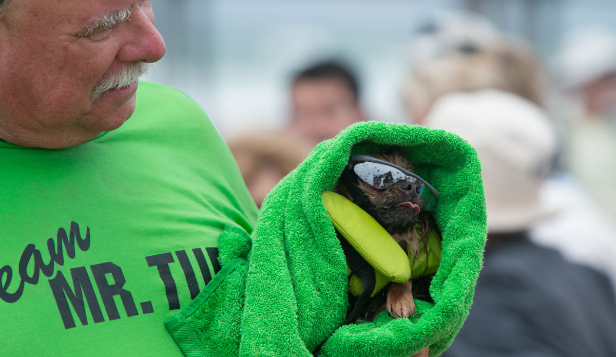 When the heats wrapped up, so did the dogs. 