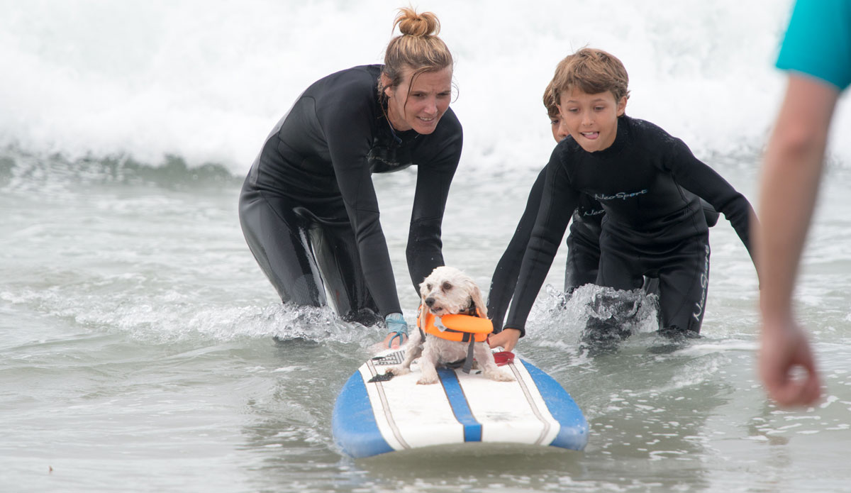 He wanted a bigger one, you can tell. 