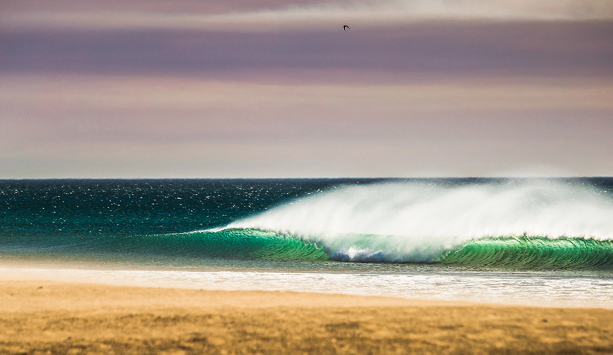 Southern California with a healthy dose of Santa Ana winds in January. Sunny, warm and perfectly groomed. Photo: <a href=\"https://evanconwayphoto.com/\">Evan Conway</a>
