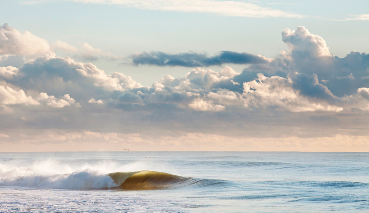 California dreamin\'. Photo: <a href=\"https://paulgreenephoto.com/\" target=_blank>Paul Greene</a>