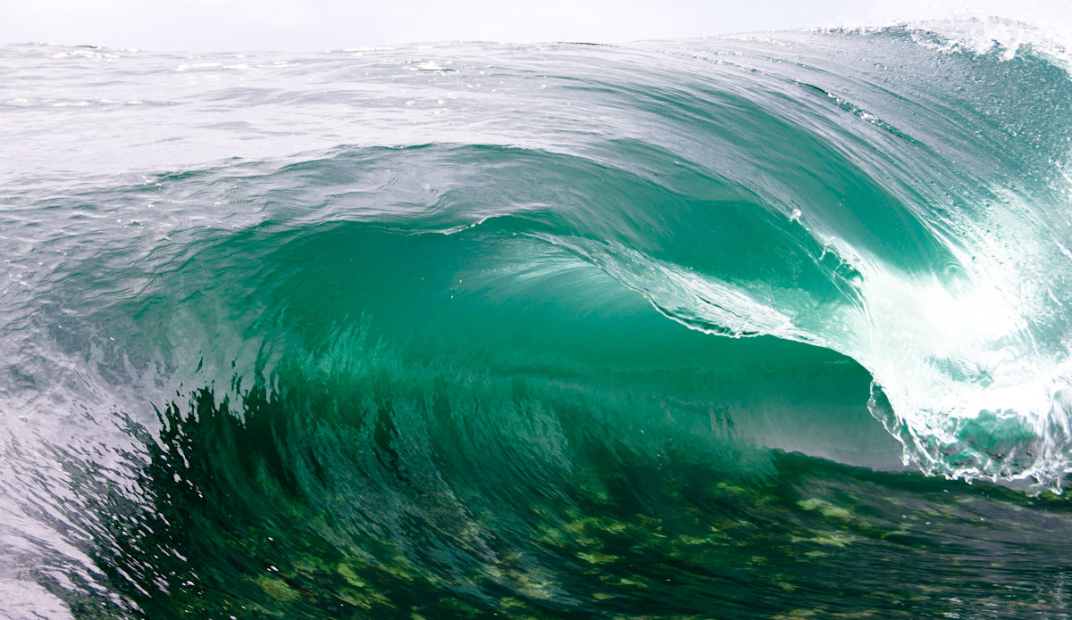 More of the slab. Photo: <a href=\"https://www.ijtphoto.weebly.com/\">Ian Thurtell</a>