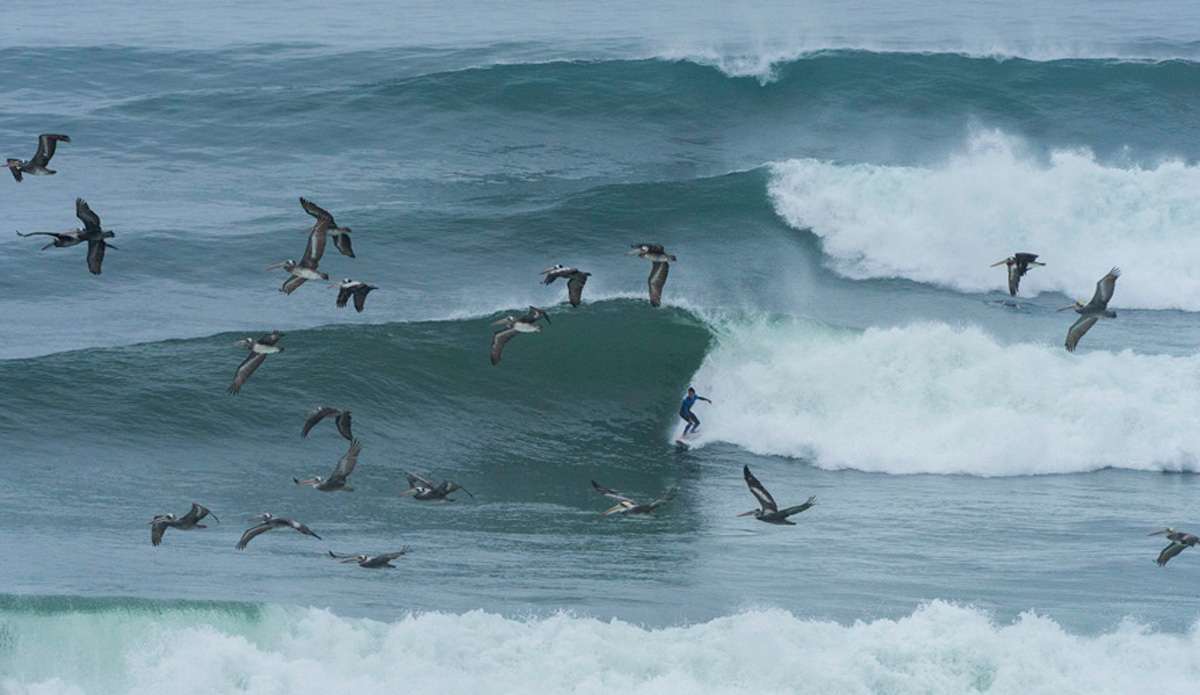 Punta Rocas, Peru. Photo: <a href=\"https://www.isasurf.org/\">ISA | Tweddle</a>