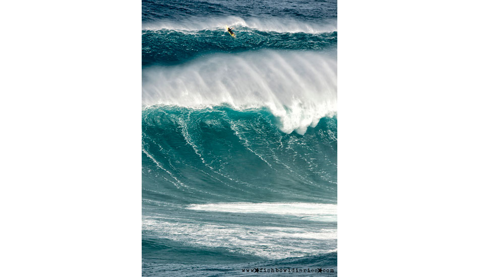 Scratching hard. Photo: <a href=\"https://fishbowldiaries.com\">Sofie Louca - Fish Bowl Diaries</a> 