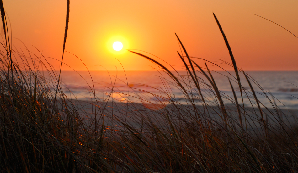 Early morning surf check. It looked small and dribbly, but ended up being shoulder high and worth the paddle out.  Photo: <a href=\"https://www.timelessride.com\">Jim Cook</a>
