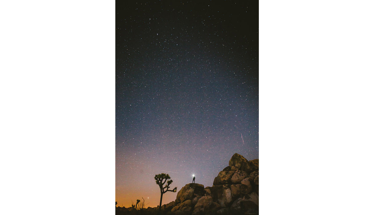 Photo: <a href=\"https://www.joelbearstudios.com/\">Joel Bear</a>