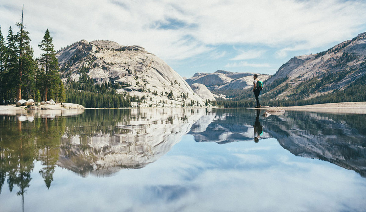 Photo: <a href=\"https://www.joelbearstudios.com/\">Joel Bear</a>