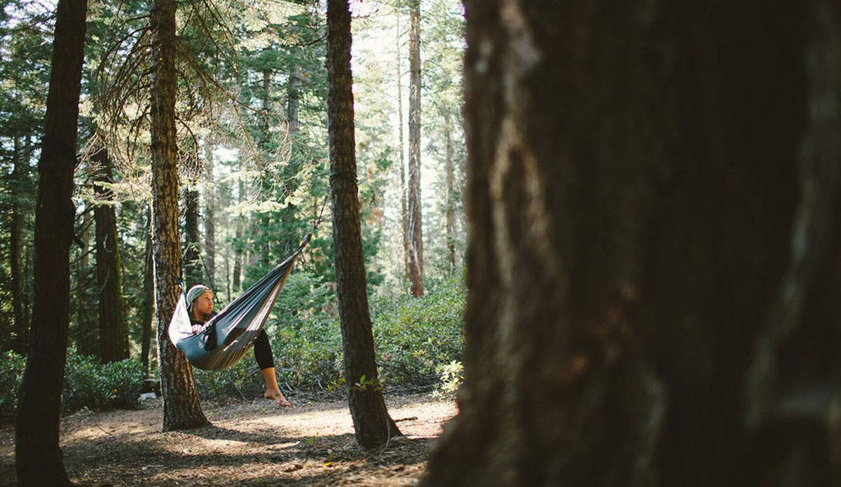 Photo: <a href=\"https://www.joelbearstudios.com/\">Joel Bear</a>