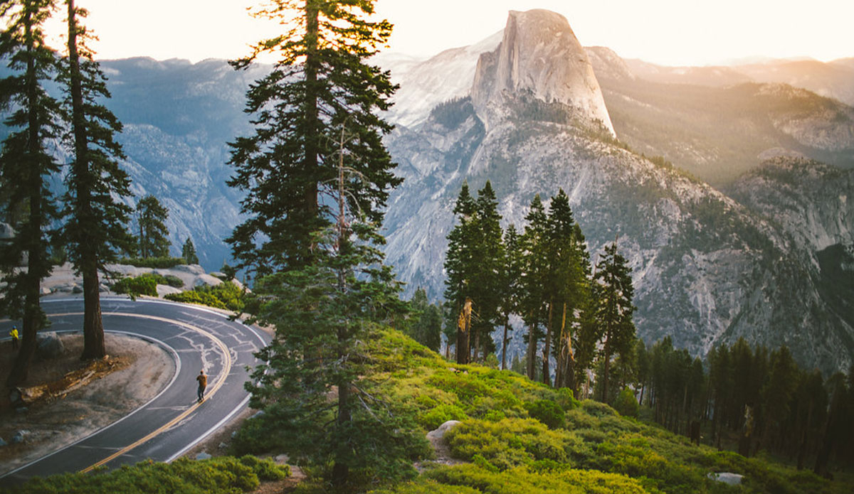 Photo: <a href=\"https://www.joelbearstudios.com/\">Joel Bear</a>