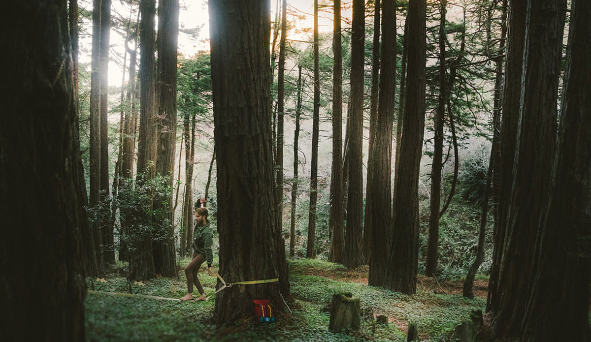 Photo: <a href=\"https://www.joelbearstudios.com/\">Joel Bear</a>